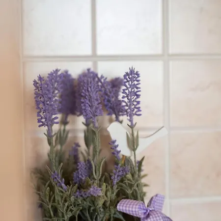 Adorable With Sea View Apartment *
